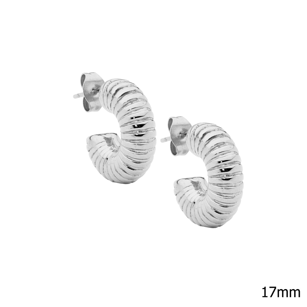 Stainless Steel Hoop Earrings