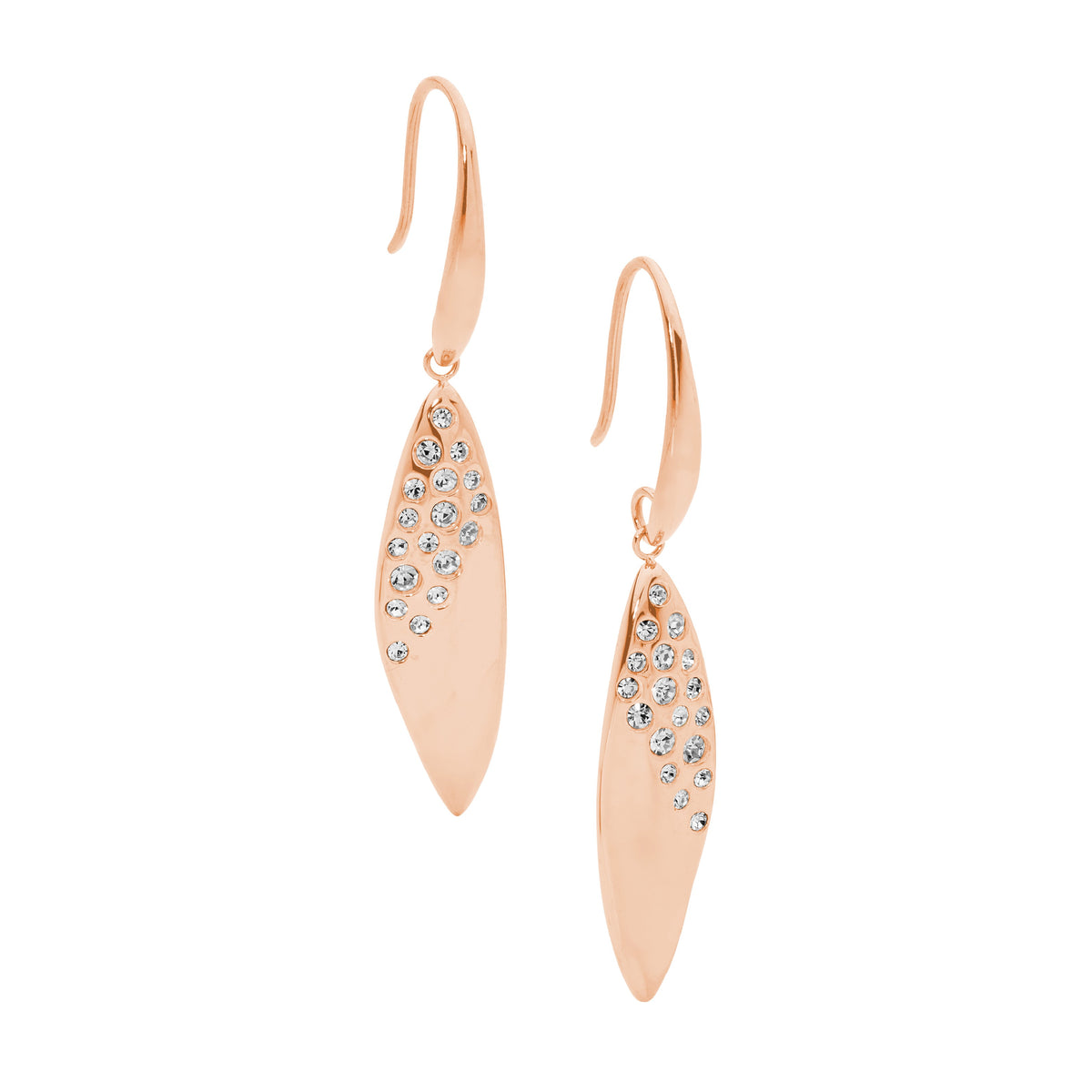Rose Gold Plated Stainless Steel Drop Earrings