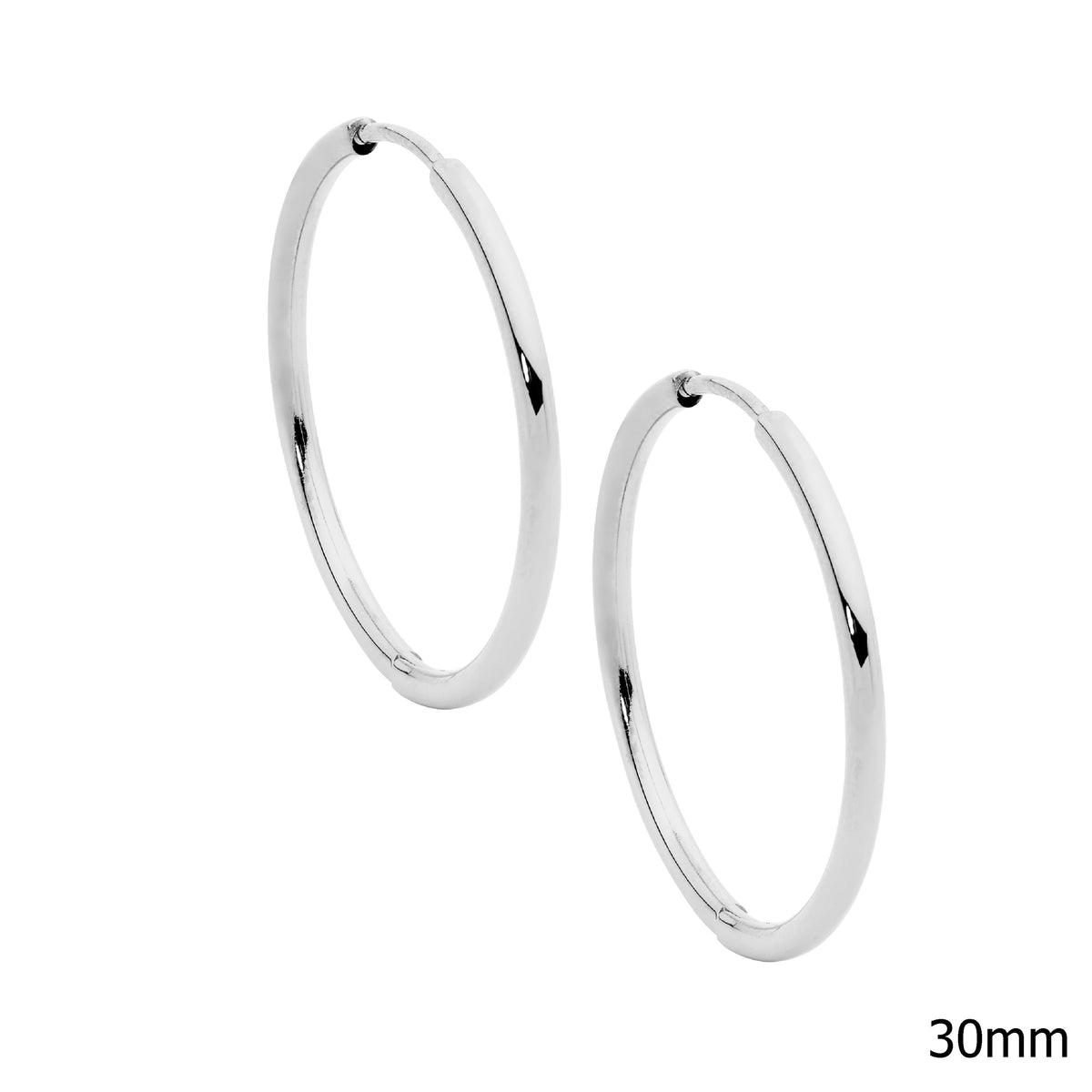 Stainless Steel Hoop Earrings